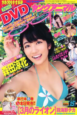 包青天之碧血丹心