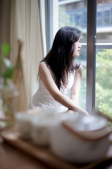菩提树下电视剧全集免费观看